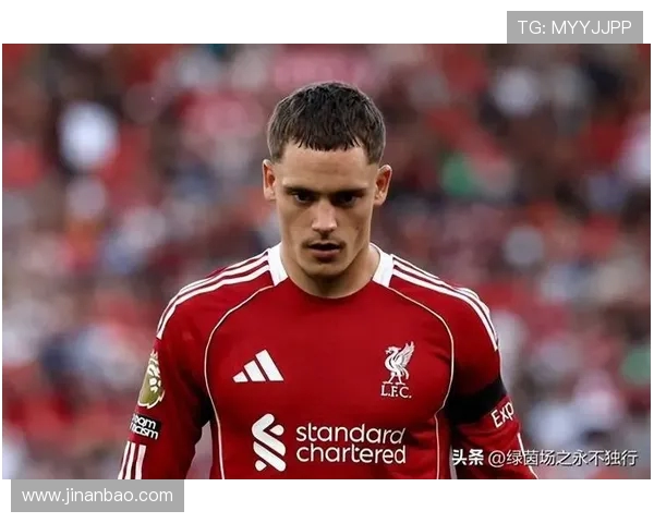 从德甲转会到英超的球员名单及转会成功案例