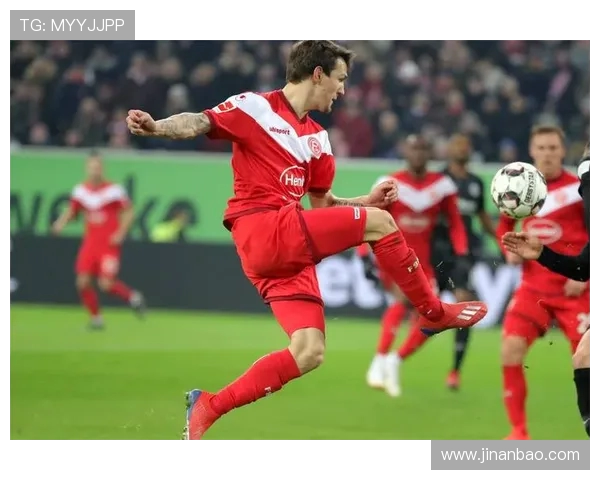 德甲中的TSG是哪支球队及其历史简介